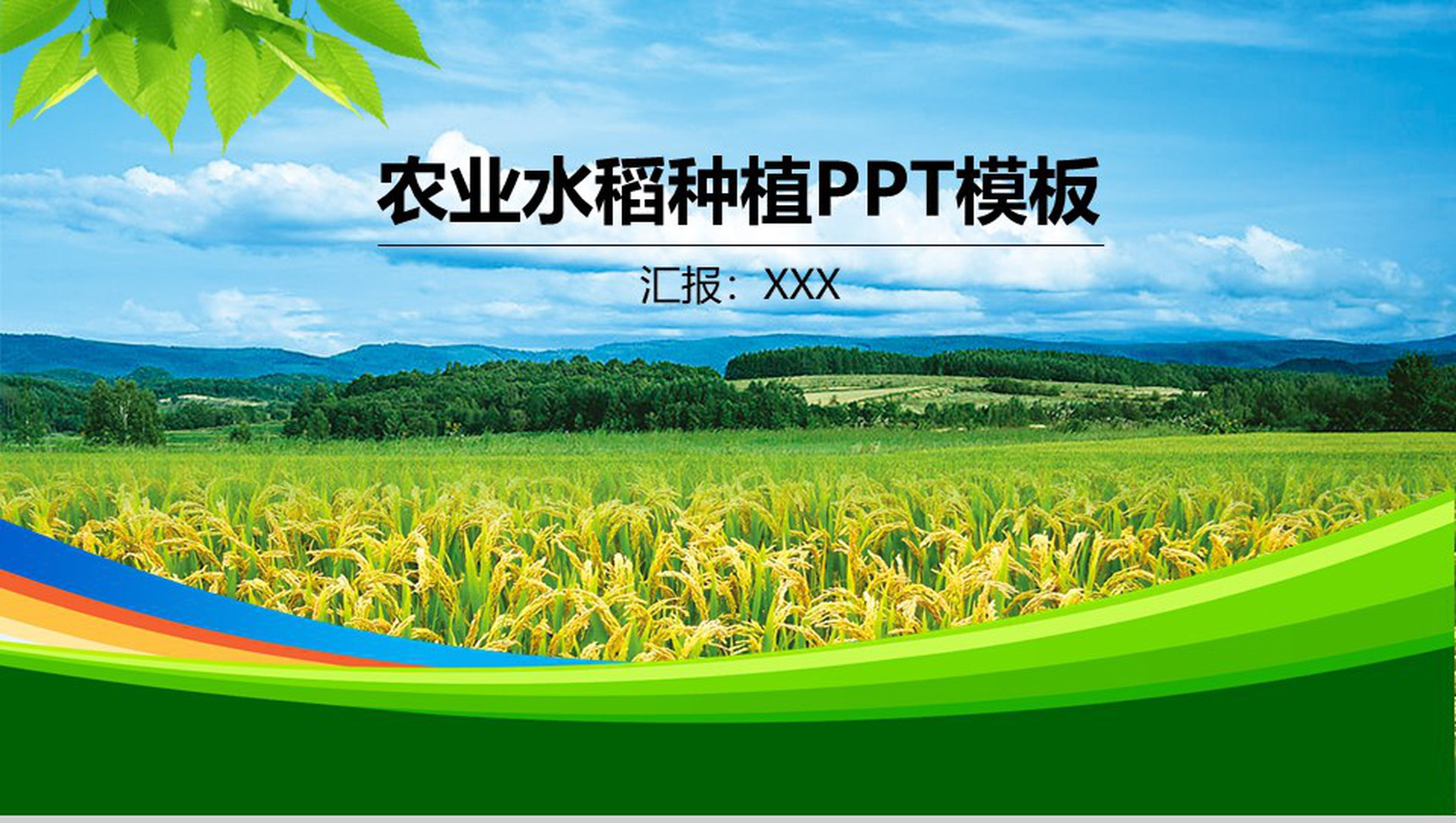 简约商务风农业水稻种植PPT模板-1