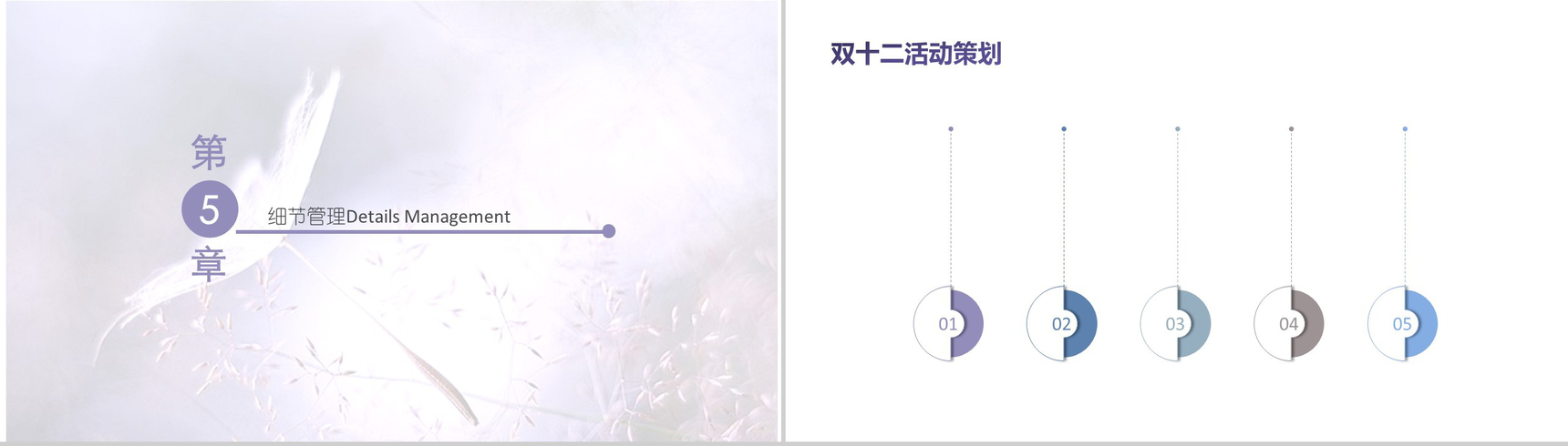 精美高端文艺双十二活动策划方案汇报PPT模板-10