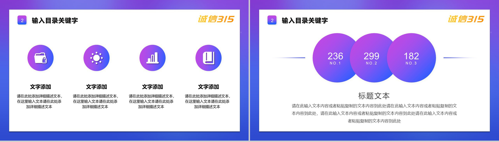 诚信315国际消费者权益日对假货说NOPPT模板-5