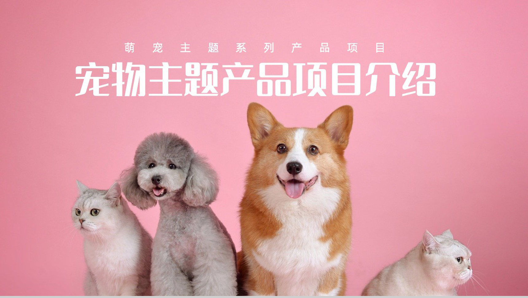 创意萌宠主题系列优势产品项目介绍PPT模板-1