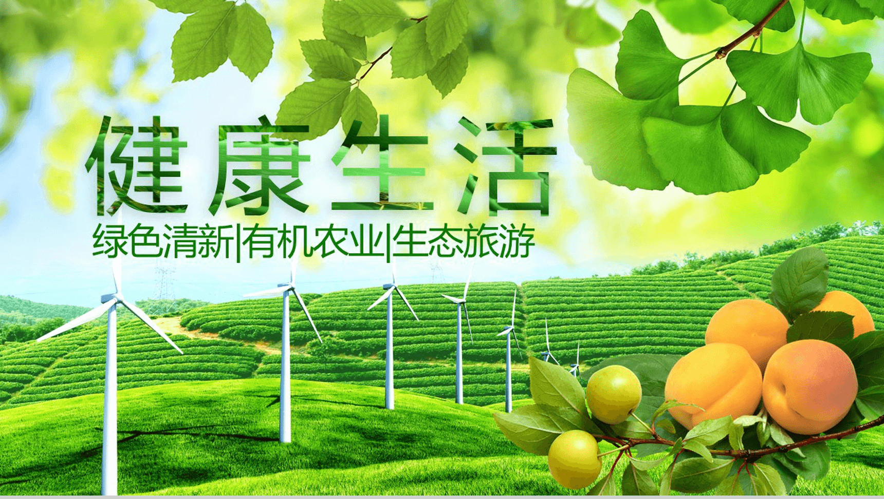 简约绿色清新有机农业环保健康生态旅游PPT模板-1