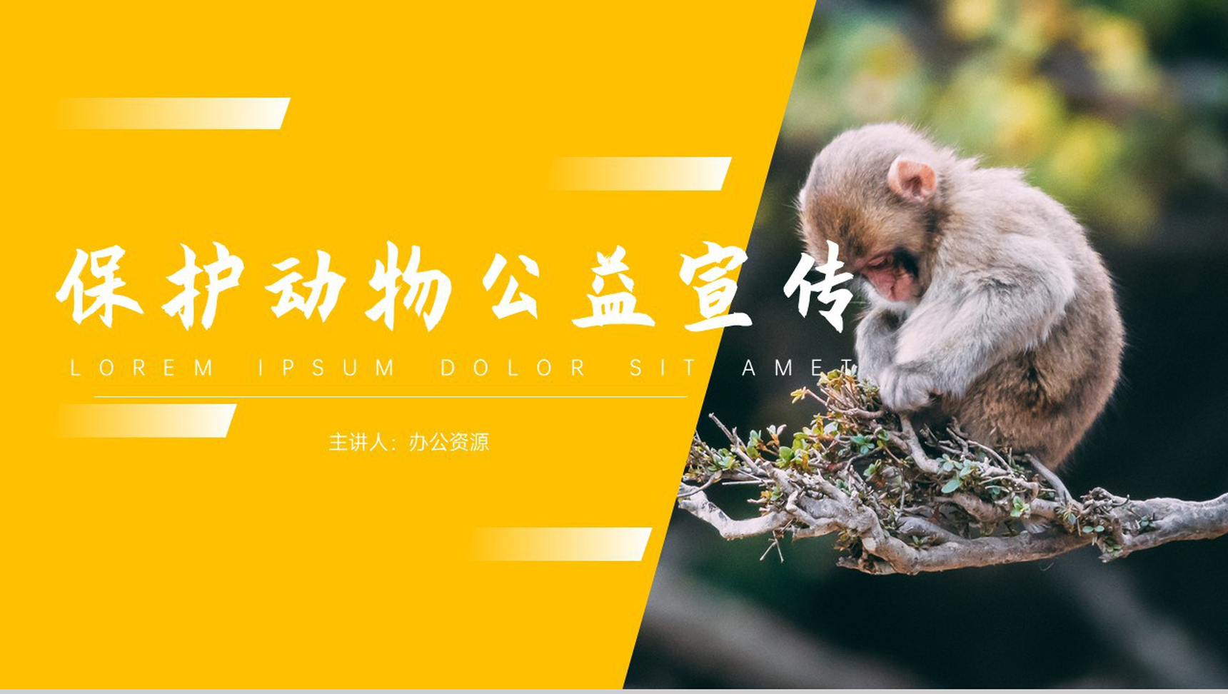 保护动物传承美德公益宣传PPT模板-1