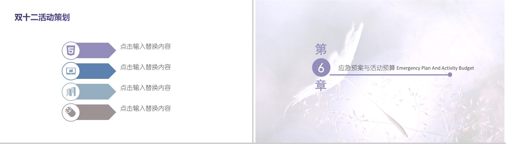 精美高端文艺双十二活动策划方案汇报PPT模板-11