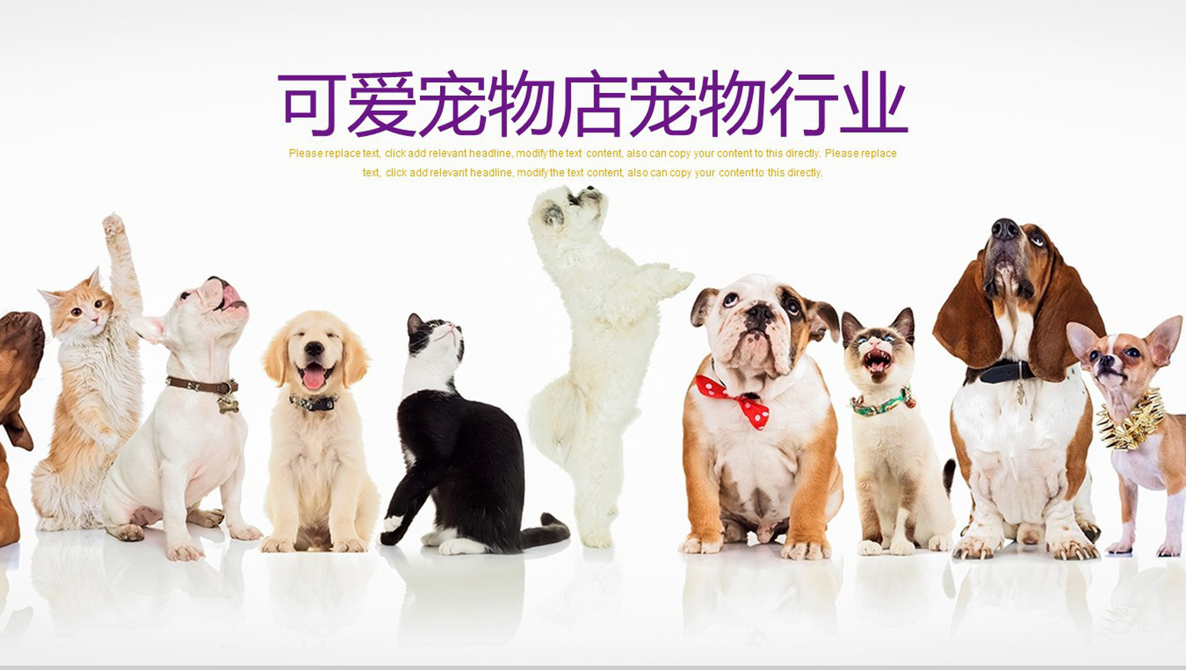 可爱宠物店宠物行业PPT模板-1
