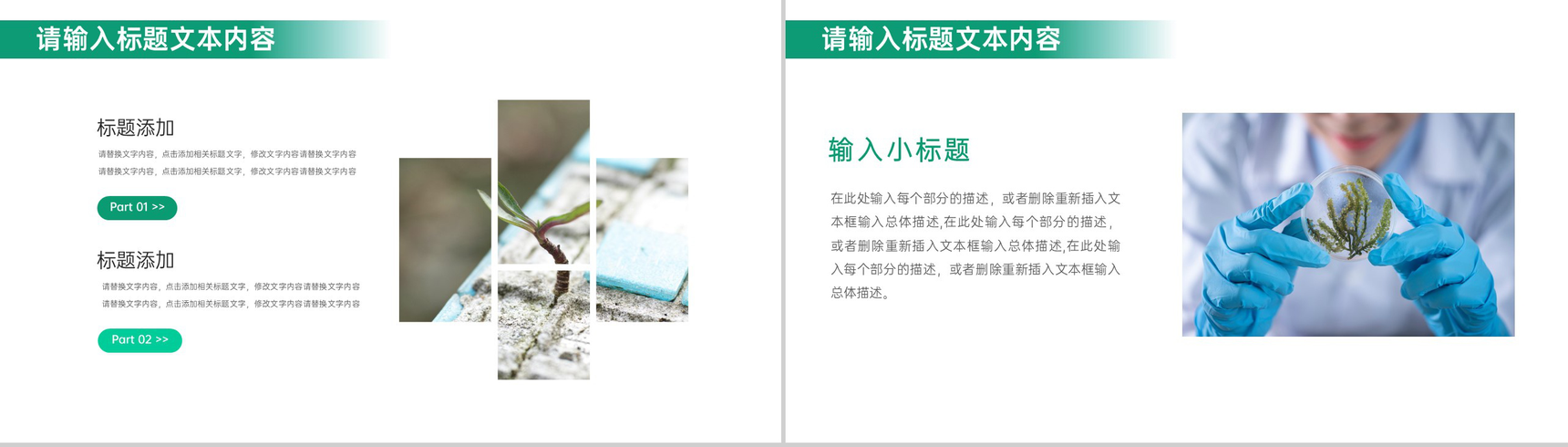 绿色清新简约保护环境公益活动策划方案步骤PPT模板-3