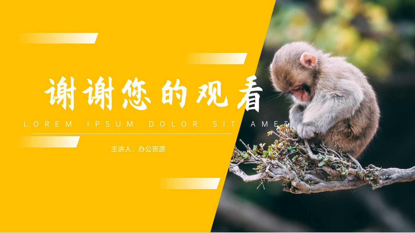保护动物传承美德公益宣传PPT模板-10
