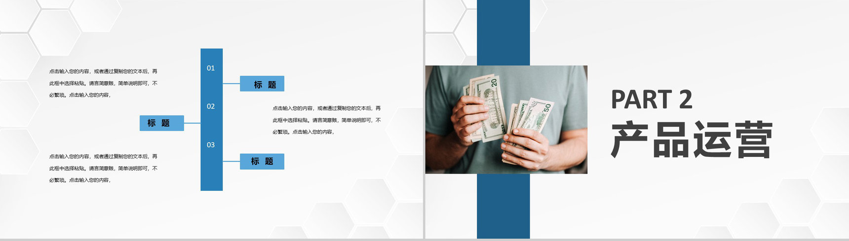保险公司金融理财项目策划保险产品运营发展计划PPT模板-4