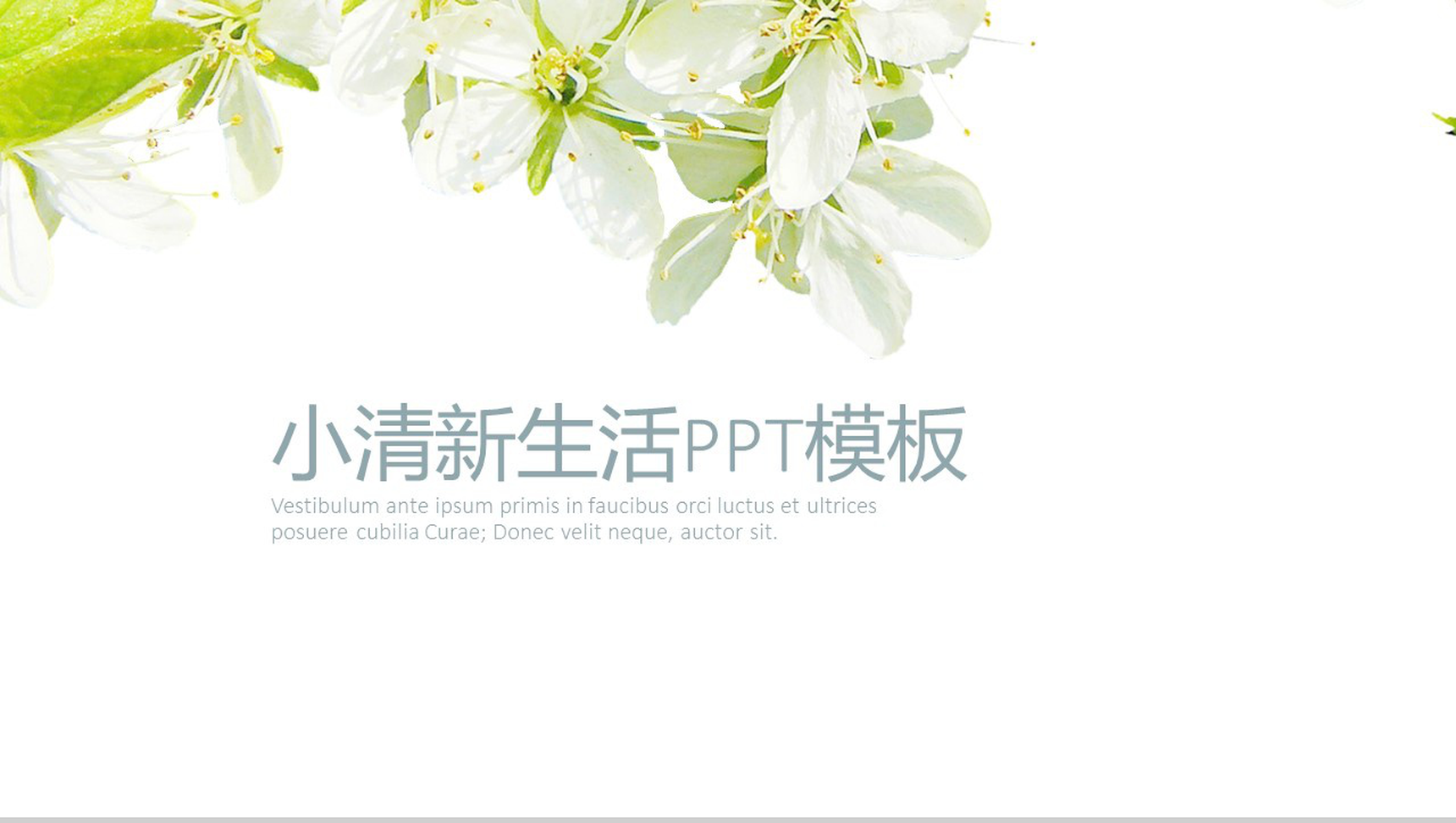 大气简约小清新生活策划书PPT模板