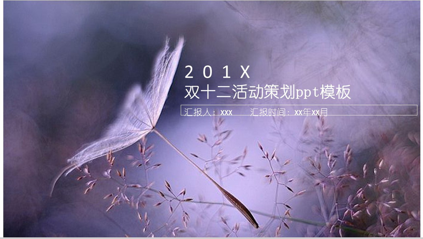 精美高端文艺双十二活动策划方案汇报PPT模板-1
