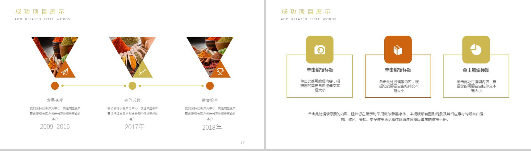 简洁简约食品调味剂宣传策划汇报新年计划PPT模板-8