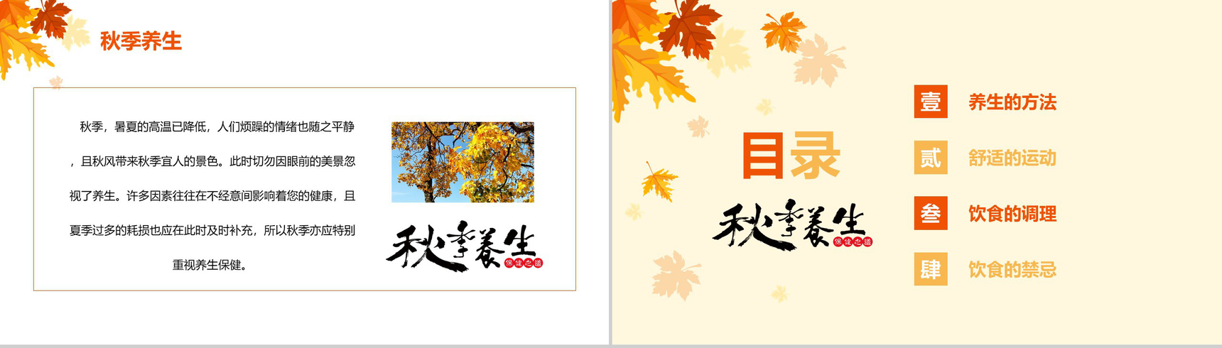 养生保健PPT模板-2