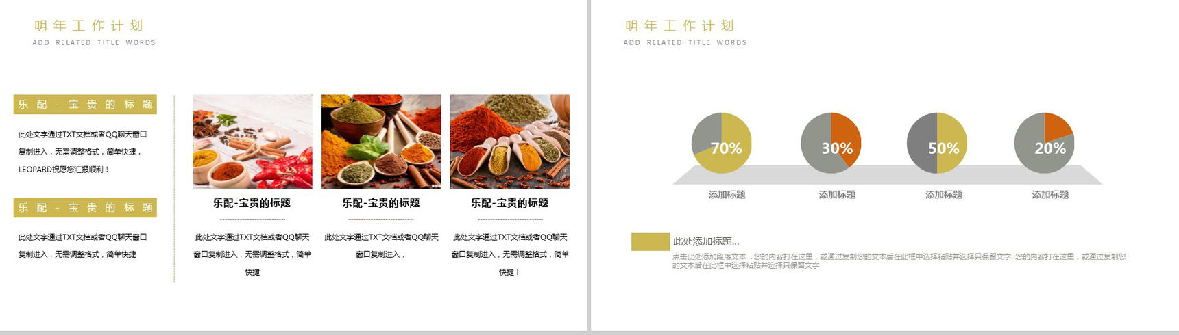 简洁简约食品调味剂宣传策划汇报新年计划PPT模板-11