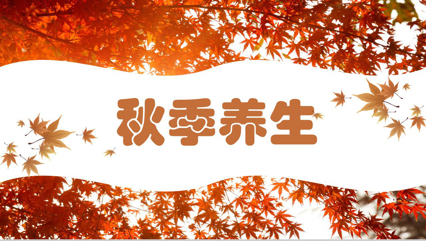 秋季养生主题方法的PPT模板-1