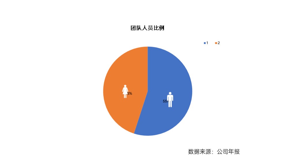 公司年报团队人员比例饼状图PPT模板-1