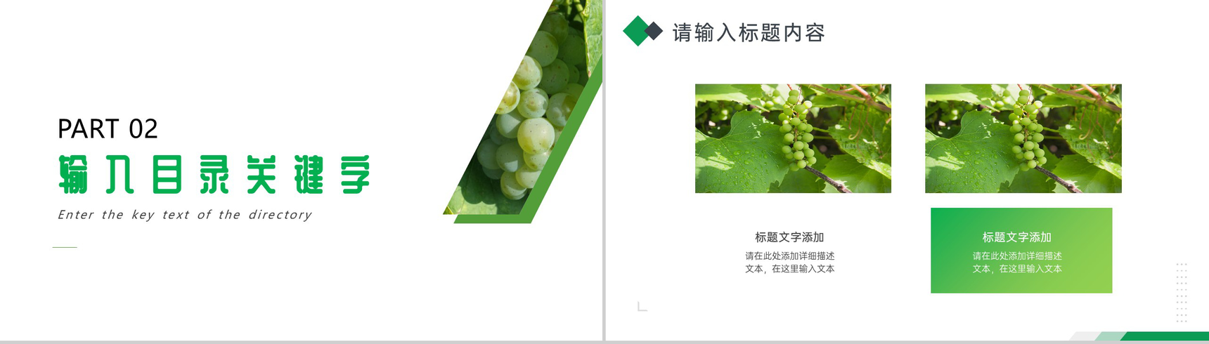 绿色清新食品安全知识水果产品介绍PPT模板-4