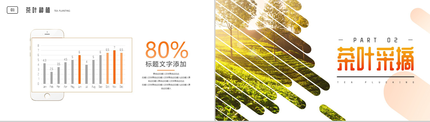 茶叶种植科学采摘流程介绍PPT模板-4