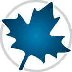 Maplesoft Maple 2025.2 数学科学计算Win版