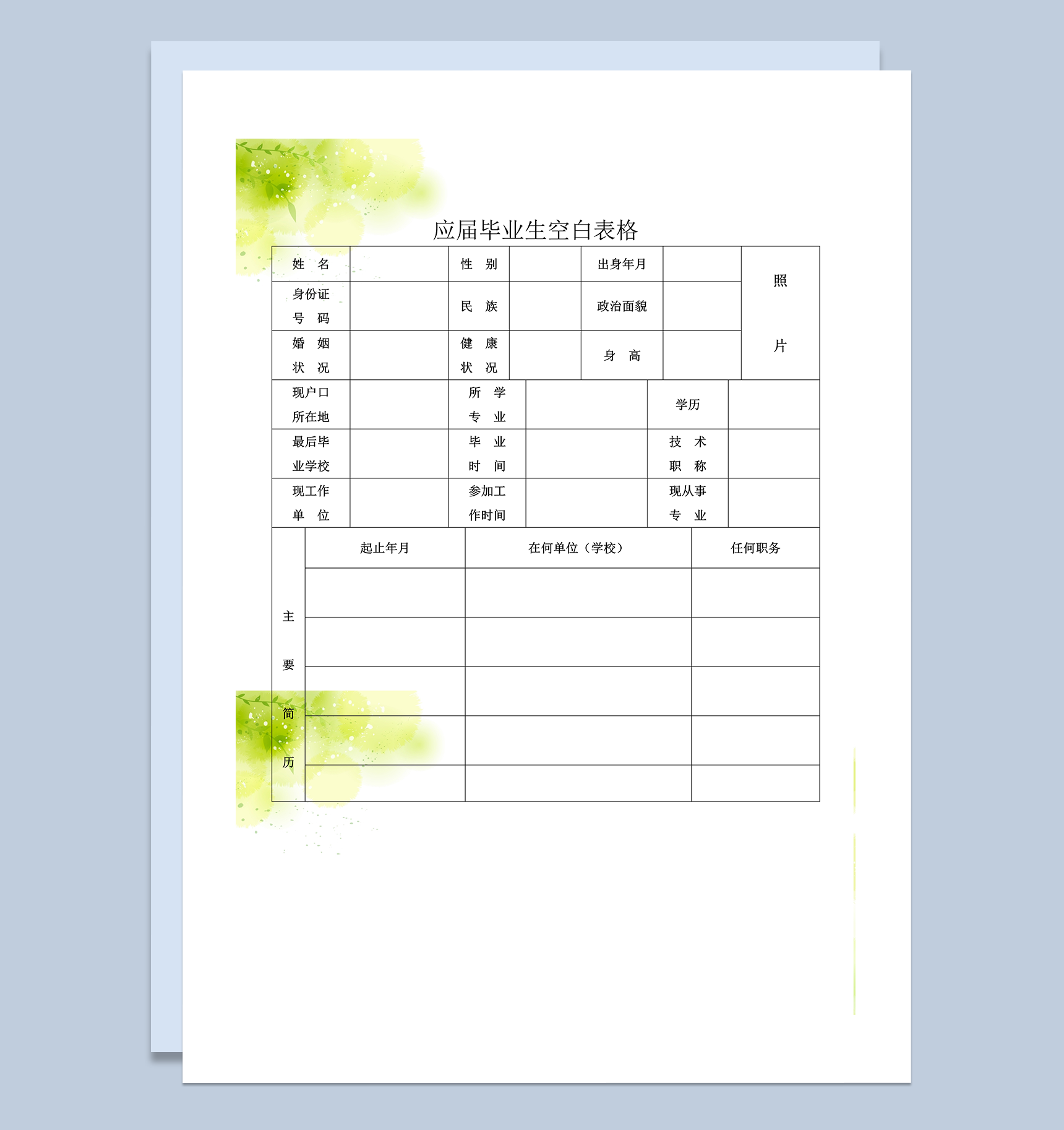 清新简洁应届生求职应聘简历word模板-1