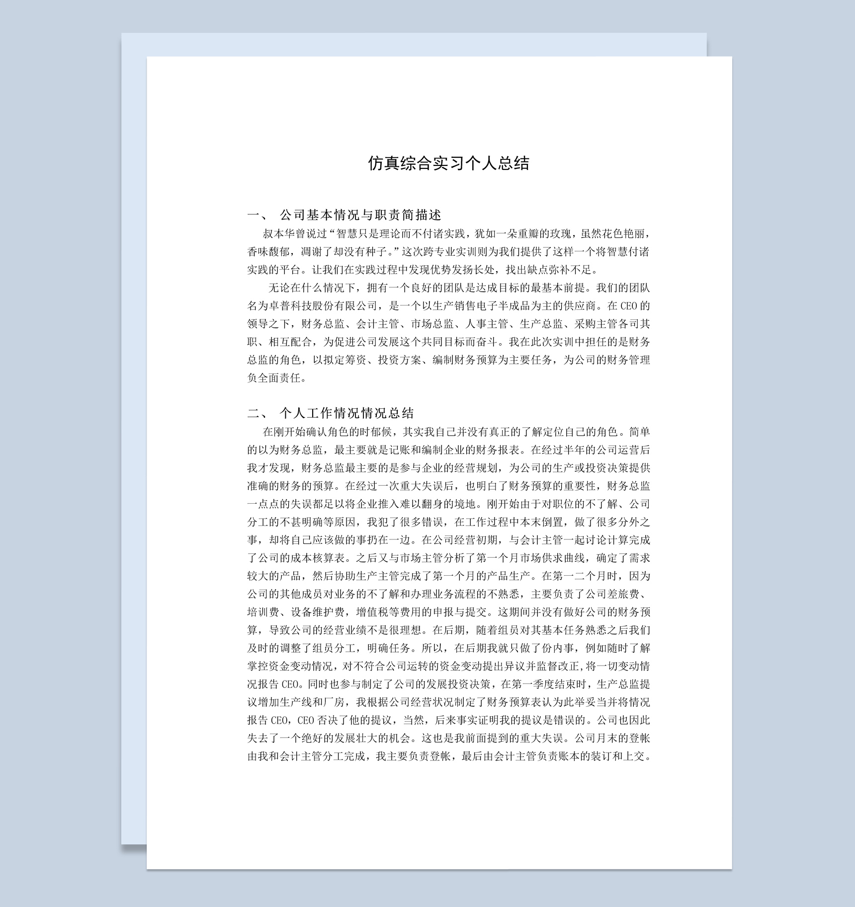 财务总监个人年度工作总结报告Word模板