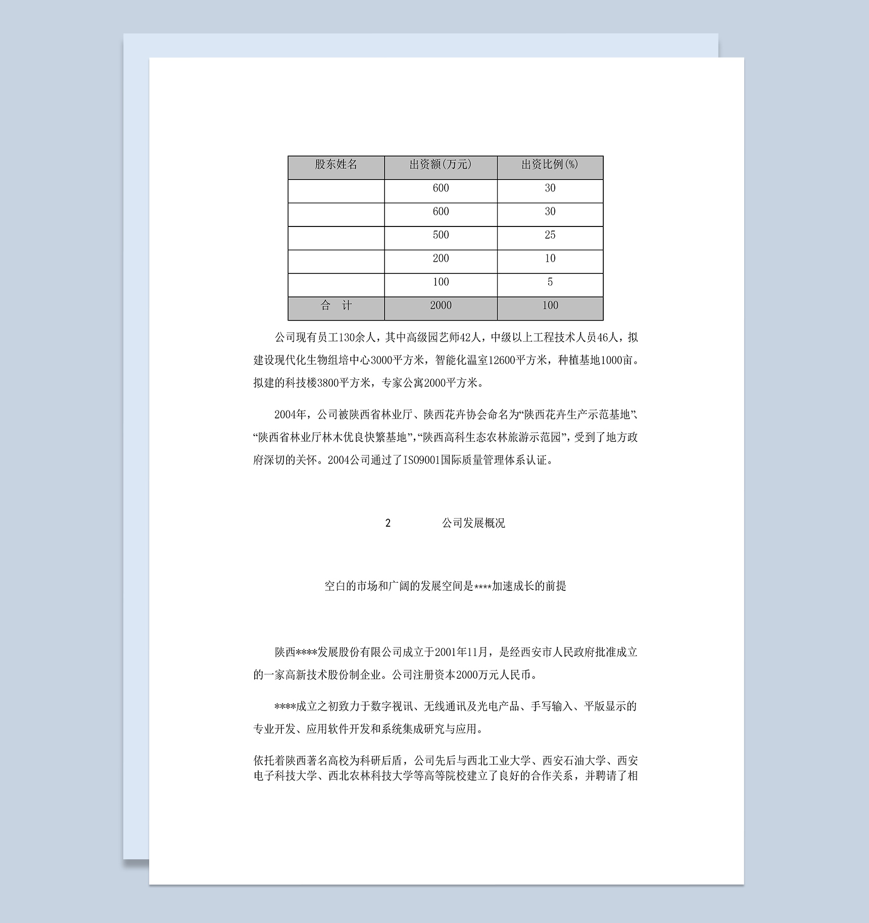 XX科技公司项目投资商业计划书Word模板