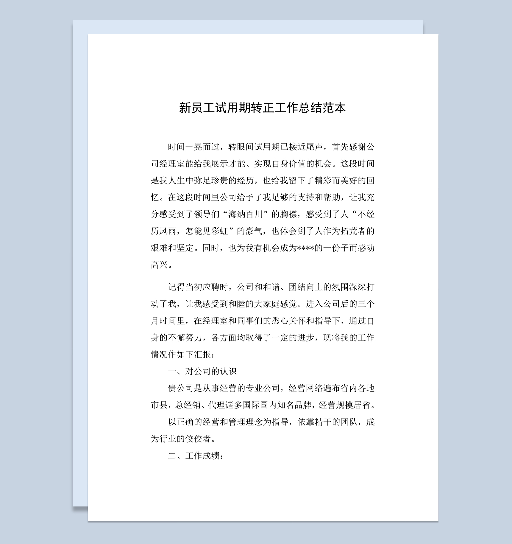 企业新员工试用期转正年终工作总结范本Word模板-1