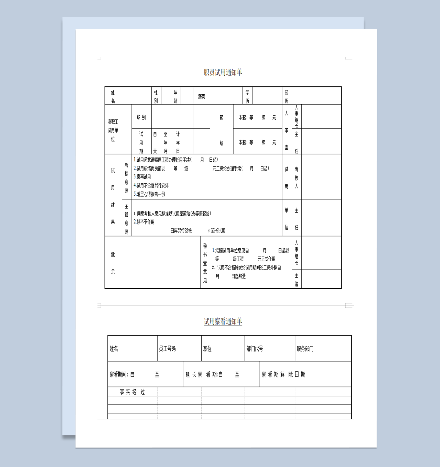 职员试用通知单word模板